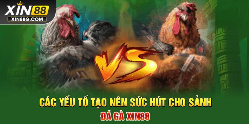 Các yếu tố tạo nên sức hút cho sảnh đá gà Xin88